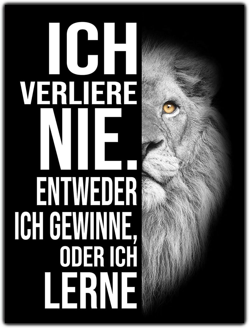 wandmotiv24 Leinwand-Bilder Löwen, Größe 80x60cm, Löwe, Schwarz